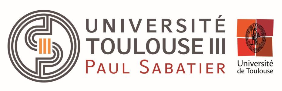 图卢兹第三大学