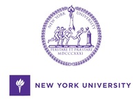 纽约大学