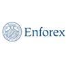 Enforex国际语言学校