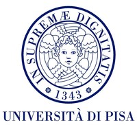 比萨大学