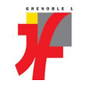 格勒诺布尔一大